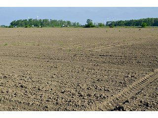 Property photo 4 - LAND AUCTION - 215+/- ACRES OFFERED IN 6 TRACTS IN VAN WERT COUNTY, OHIO
